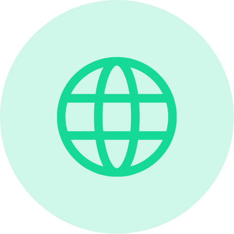 Web Security Icon